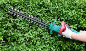 BEST RYOBI HEDGE CUTTERS